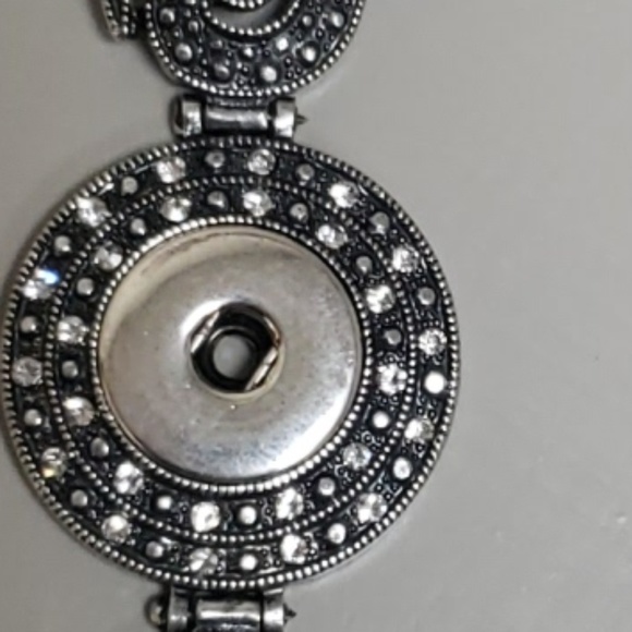 Snap - Picture 3 of 3